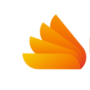 Ordi-senior.fr logo