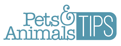 Pets And Animals Tips logo