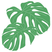 Pine Hollow Ridge logo