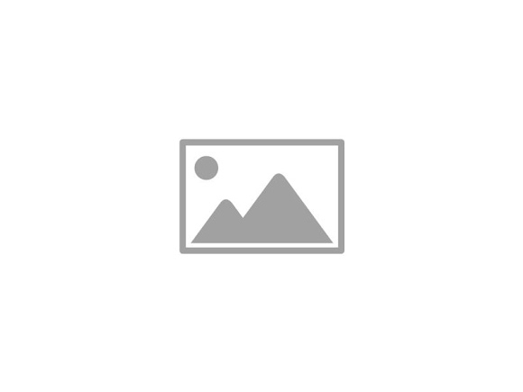 Pink Blog logo
