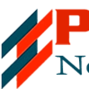 Pioneernewslimited.co.uk logo