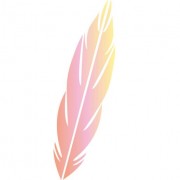 Plumedaure logo