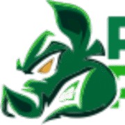 Portal do Palmeirense logo
