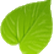 Portalebenessere.com logo