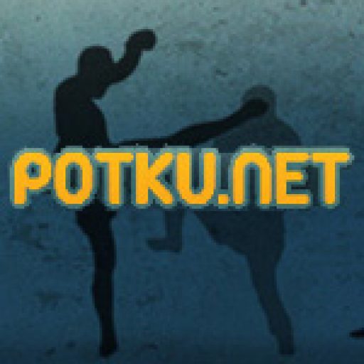 Potku.Net logo