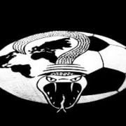 Poznaj Nieznane logo