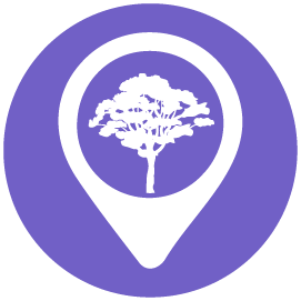 Pretoria.co.za logo