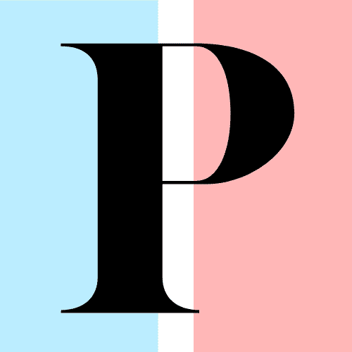 Prim.net logo