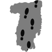 Prinvalcea.ro logo