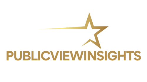 Public View Insights logo