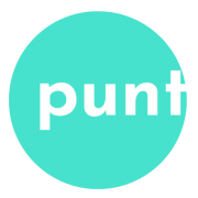 Punt Info logo