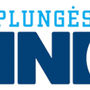 P Žinios logo