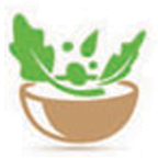 Salatschleudertest.com logo