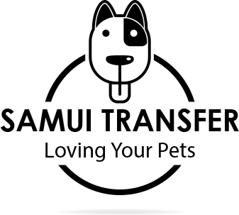 Samui-transfer.com logo