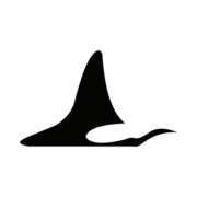 Santistas logo