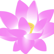 Sazenicka.Cz logo