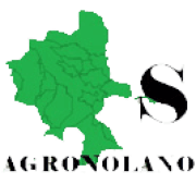 Sciscianonotizie.it logo