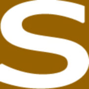 Seguridadprofesionalhoy.com logo