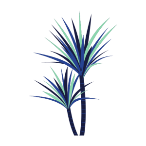 SimpleAntena logo