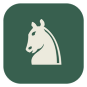 Sjakk logo