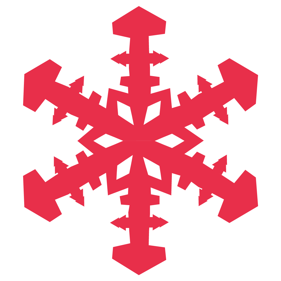 Snowbrains.com logo