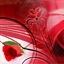 Sonpareja.com logo