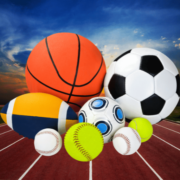 Sport Elite Arena logo