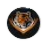 Sports Tiger logo