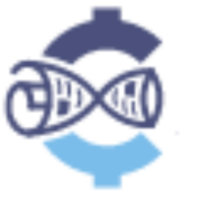 Stiri-zilnic.ro logo