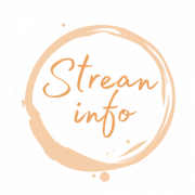 StreamInfo logo