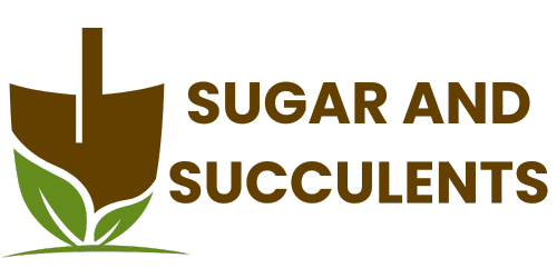 Sugar and Succulents logo