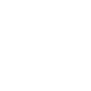 Swissmindsports.com logo