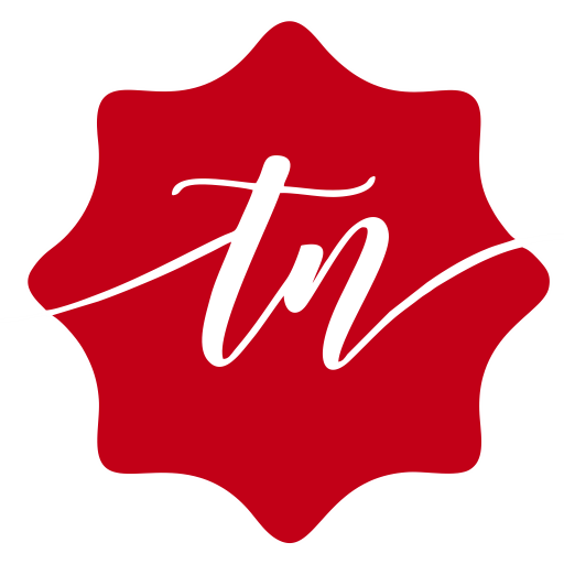 Technologytimesnow.com logo