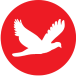 Techobserver.In logo