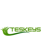 Teskeys logo