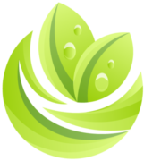 Thedissertationhouse.com logo