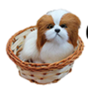 Thedogpuppies.com logo