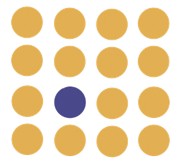 The Niche Guru logo