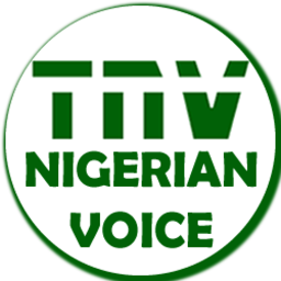 Thenigerianvoice.com logo