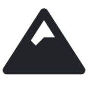 The Real Japan logo