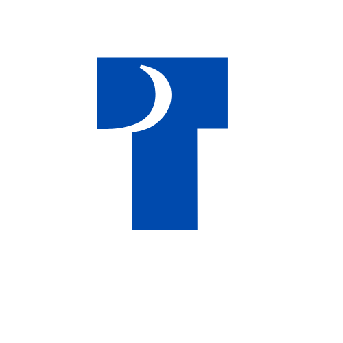 The Tech Task logo