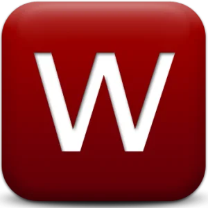 The wow style logo