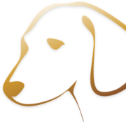 Tierweltdeluxe.de logo