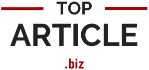 Toparticle.biz logo