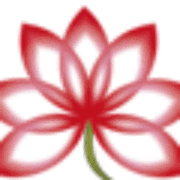 Totceeaceeste.ro logo