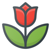 Tulipessauvages.org logo