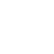 Turbo Geek logo