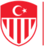 Turkish Football logo