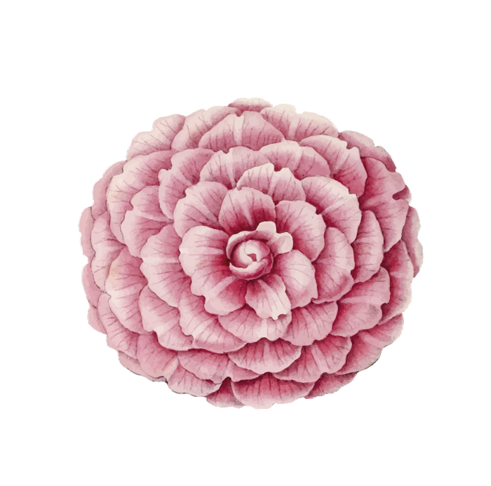Unefleurunjardin.com logo