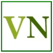 Valsassinanews.com logo
